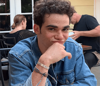 What was Cameron Boyce's sexual orientation? Was he gay, bi or straight? 