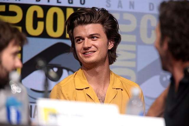 What's Joe Keery's actual sexuality? Is he gay or straight? 
